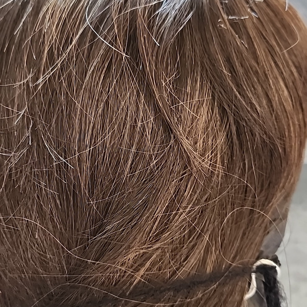 Brown w/Hilite NEW WIG, layered & textured style with Mono Part HEAT FRIENDLY