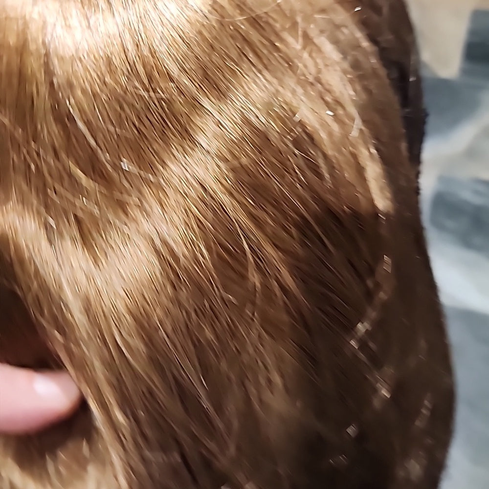 Auburn Blonde- NEW Wig Parted Skin Top, Choppy Long Layers