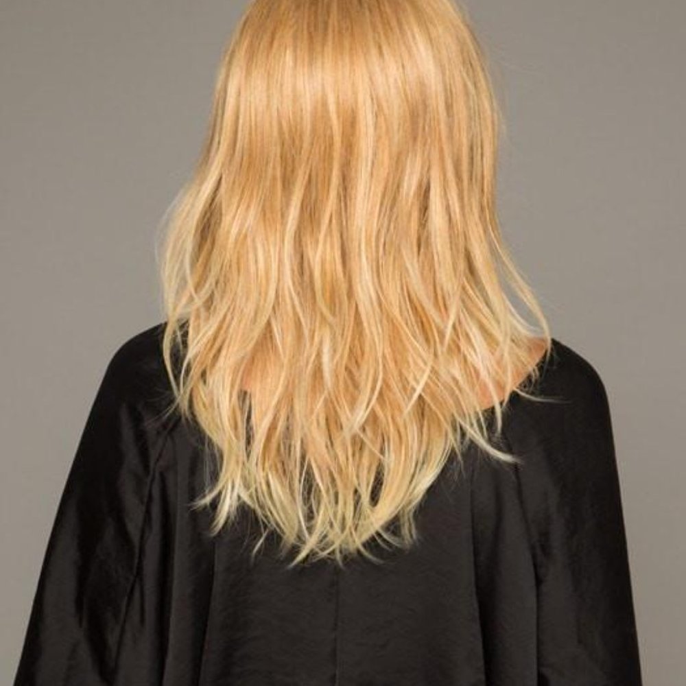Brown w/Hilite NEW WIG, layered & textured style with Mono Part HEAT FRIENDLY