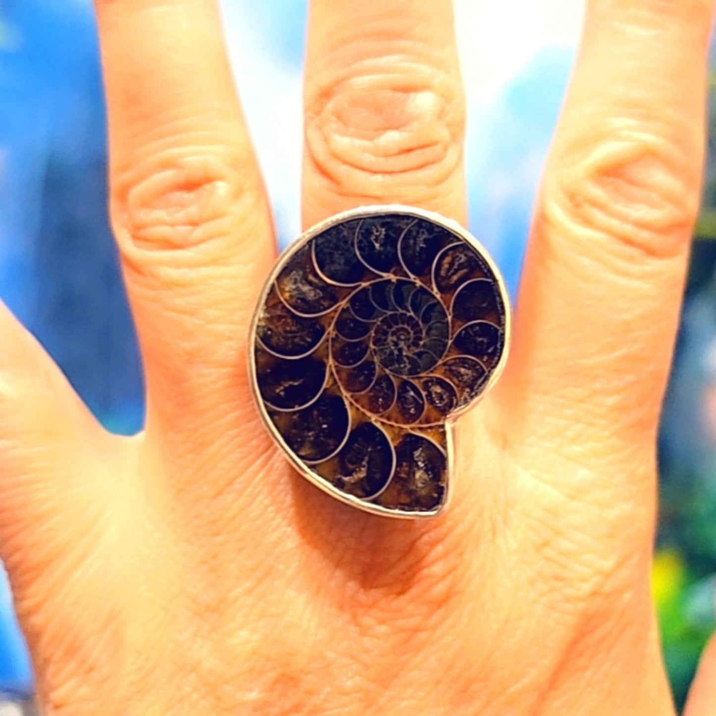 Ammonite Sterling Silver Gemstone Ring