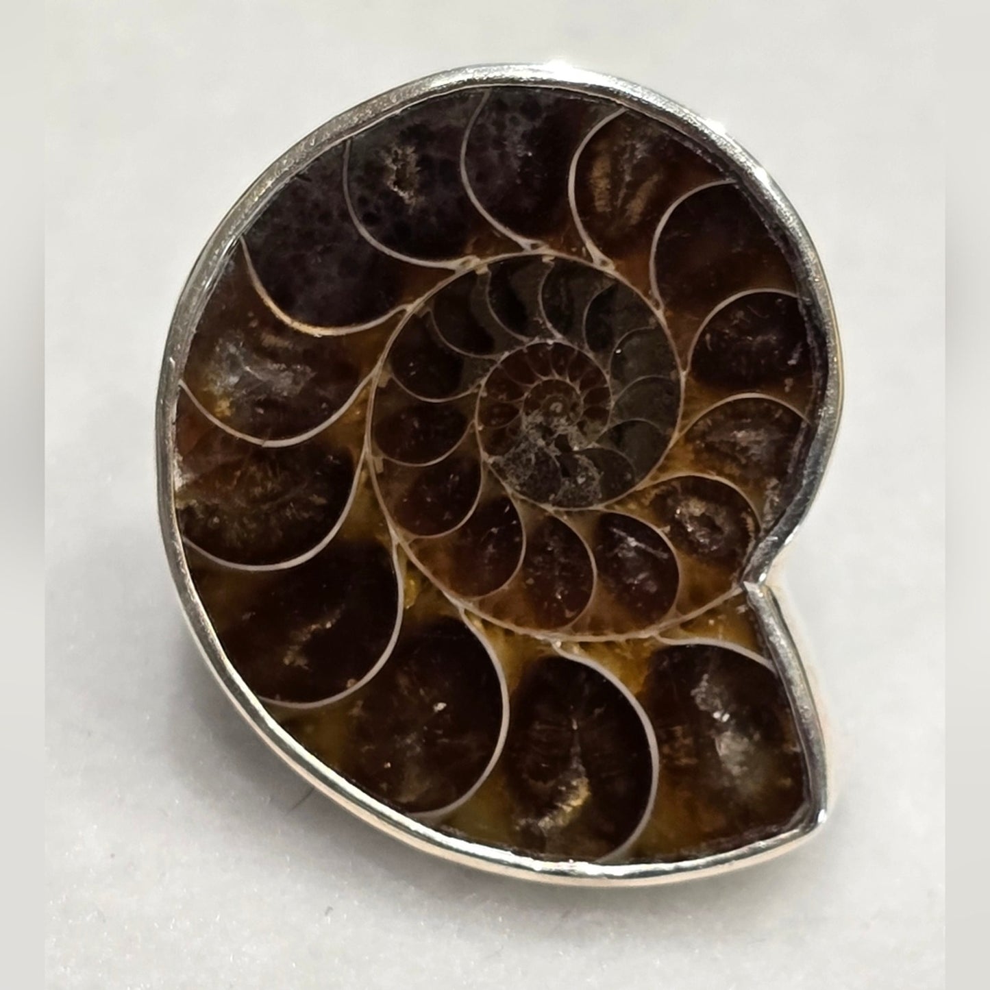 Ammonite Sterling Silver Gemstone Ring